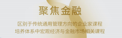 金融創新與上市并購董事長項目