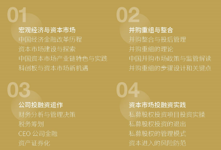 金融創新與上市并購董事長項目